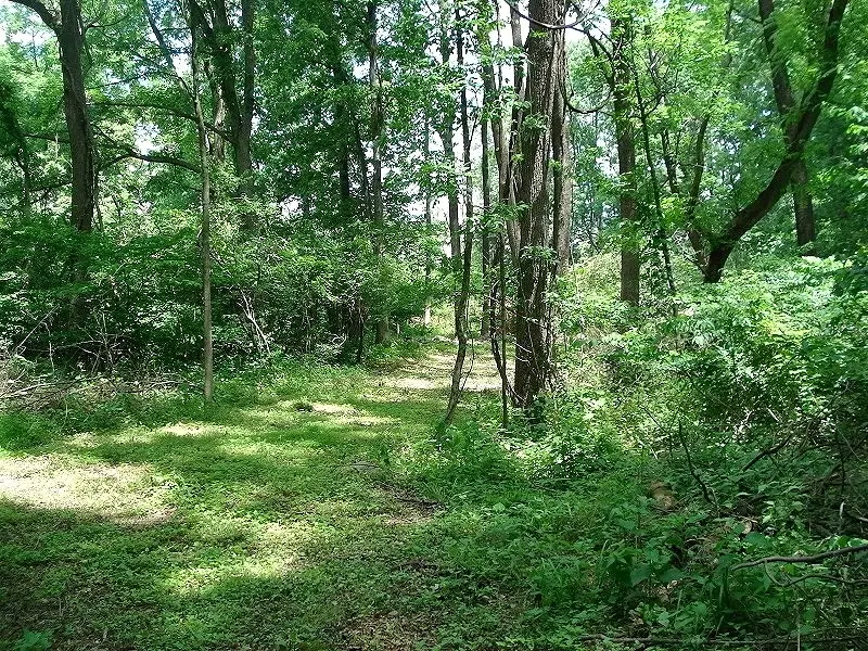 0 Mellicks Woods Rd, Pohatcong, NJ 08804 - #2