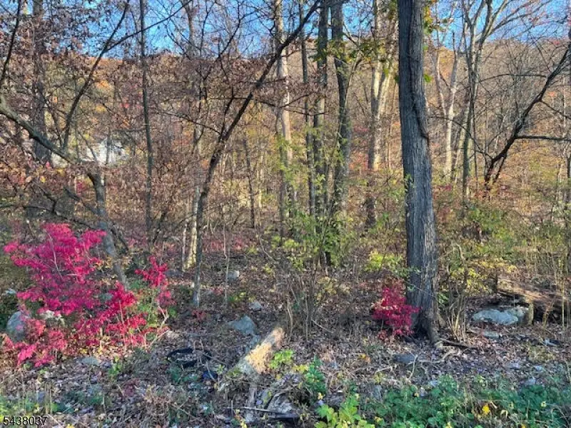 9 Old Woodland Trl, Oak Ridge, NJ 07438 - #1