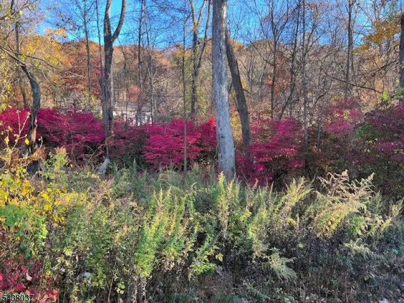 9 Old Woodland Trl, Oak Ridge, NJ 07438 - #2
