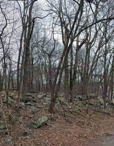 4 Hillcrest Dr, Vernon, NJ 07461 - #1