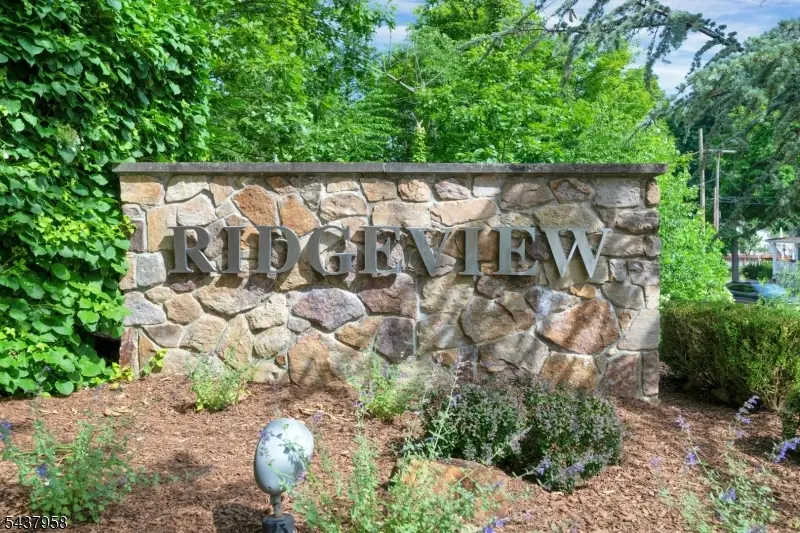 17 Ridgeview Ln, Mount Arlington, NJ 07856 - #1