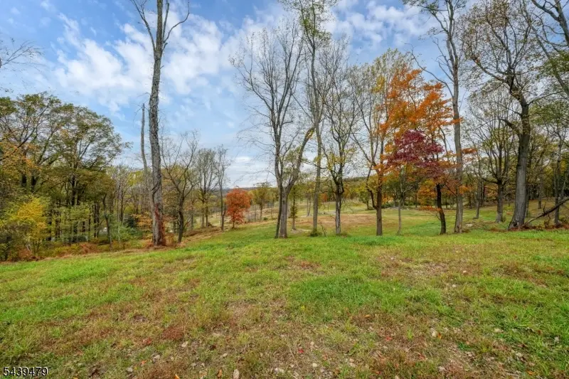 83 Danville Mountain Rd, Liberty, NJ 07838 - #3