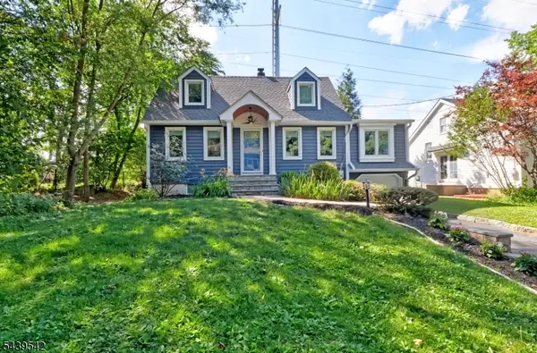 10 Meadow Rd, Chatham Boro, NJ 07928