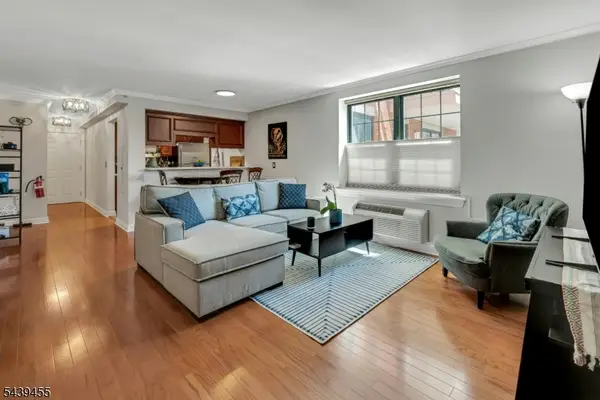 7 Prospect St #508, Morristown Town, NJ 07960