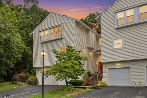 45 Rhea Run, Hampton Twp., NJ 07860