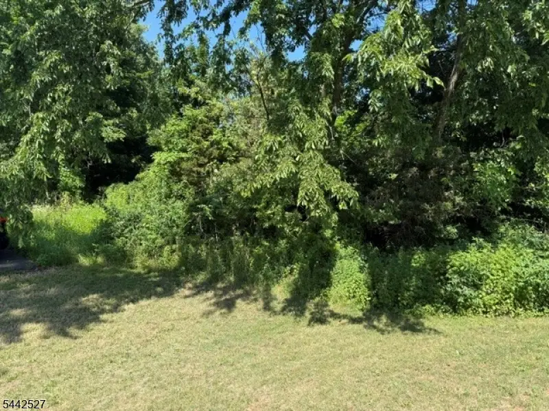 50 Dekalb St, Franklin, NJ 08873 - #1