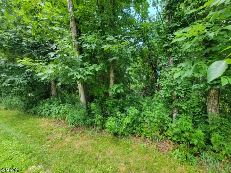 104 Armstrong Rd, Montague, NJ 07827 - #1