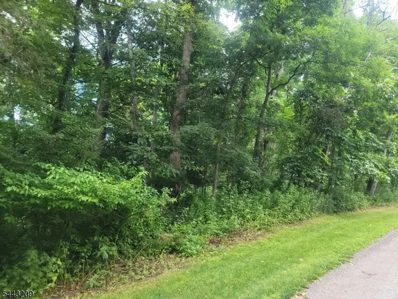 104 Armstrong Rd, Montague, NJ 07827 - #2
