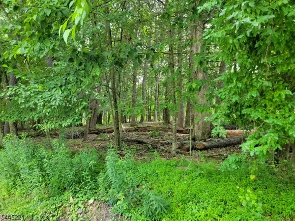 231 Old Chimney Ridge Rd, Montague Twp., NJ 07827