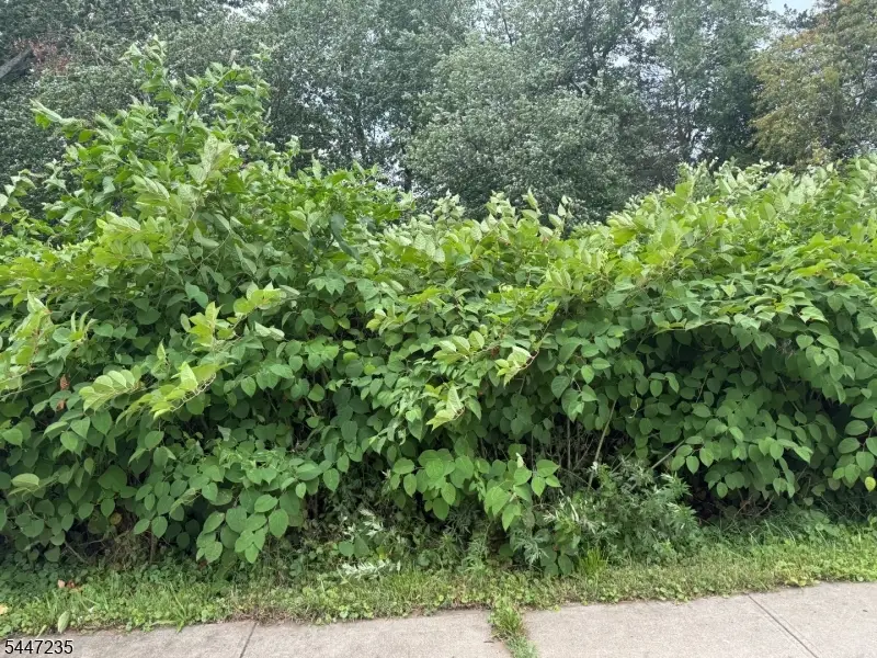1110 Walnut St, Piscataway, NJ 08854 - #1