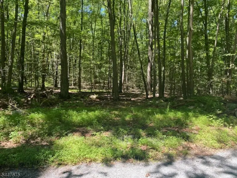 10 Newman Rd, Hardwick, NJ 07825 - #2