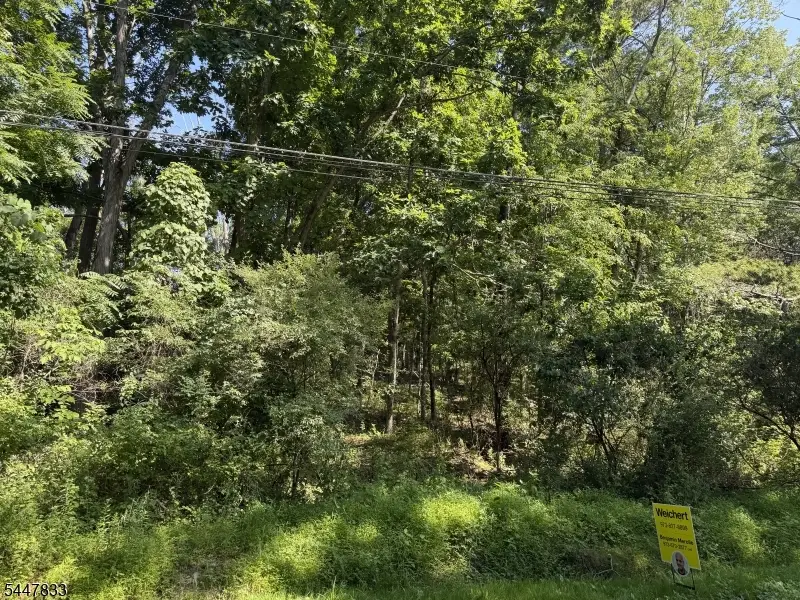 22 Bills Ln, Montague, NJ 07827 - #1