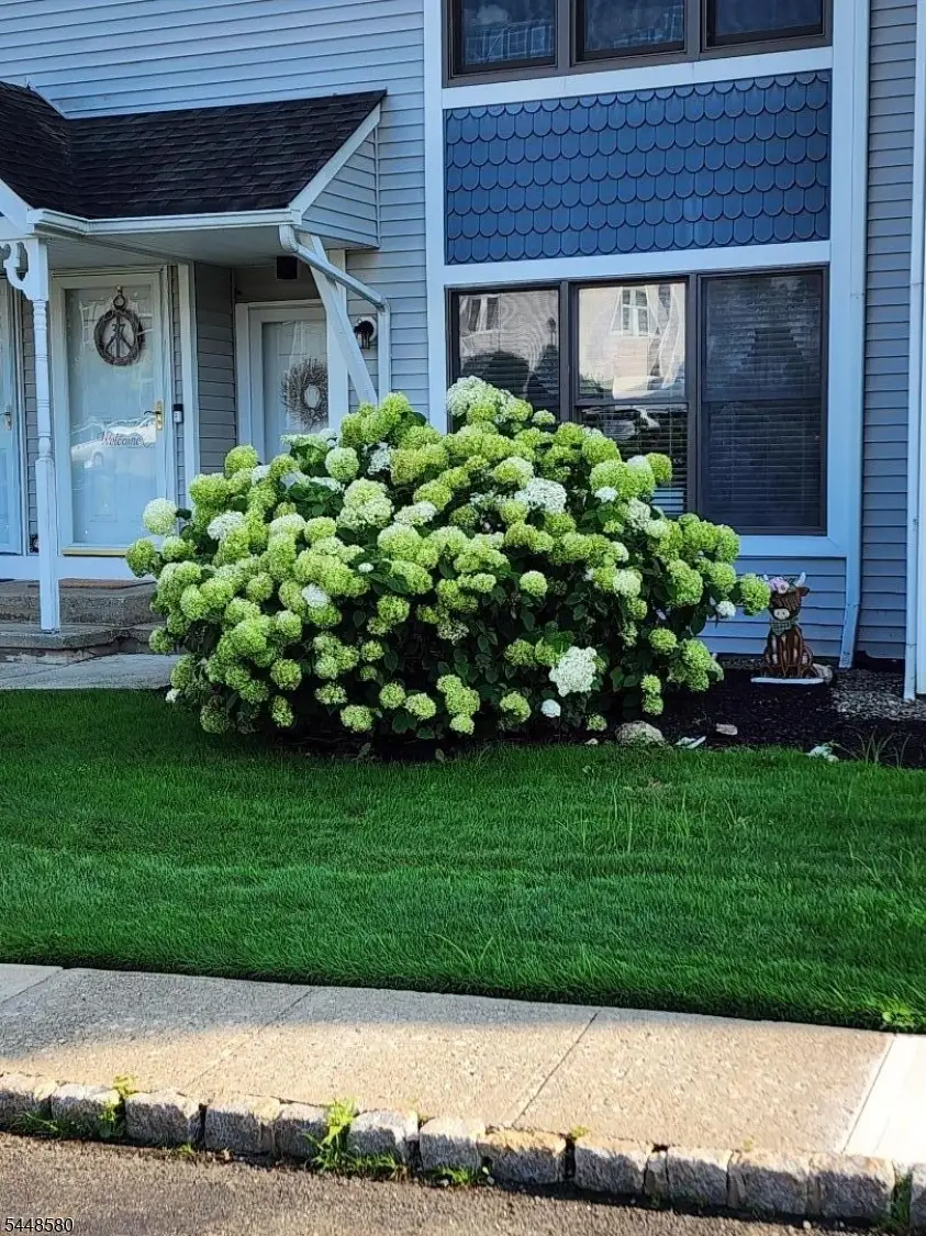 11 Burlington Ct, Hamburg, NJ 07419 - #2