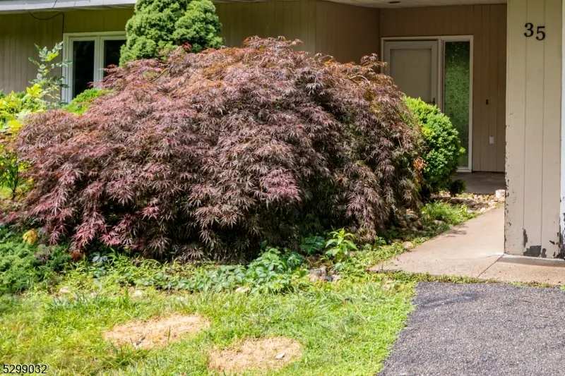 35 Glenwood Dr, Montville, NJ 07045 - #2