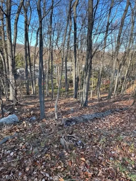 22 Mountain Rd, Denville, NJ 07834 - #1