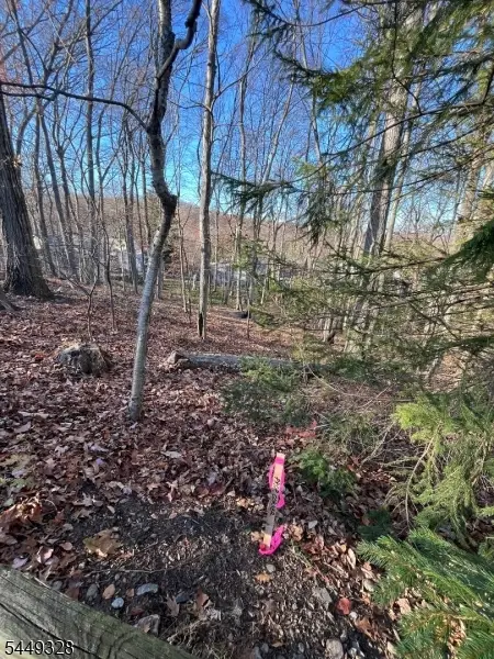 22 Mountain Rd, Denville, NJ 07834 - #2