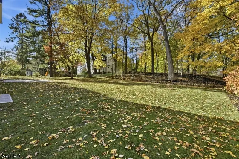 336 Fairmount Ave, Chatham, NJ 07928 - #3