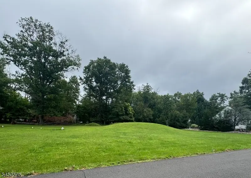 559 Equator Ave, Franklin, NJ 08873 - #3