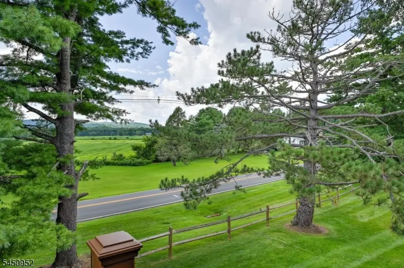 16 Great Horned Owl Ct, Allamuchy, NJ 07840 - #3