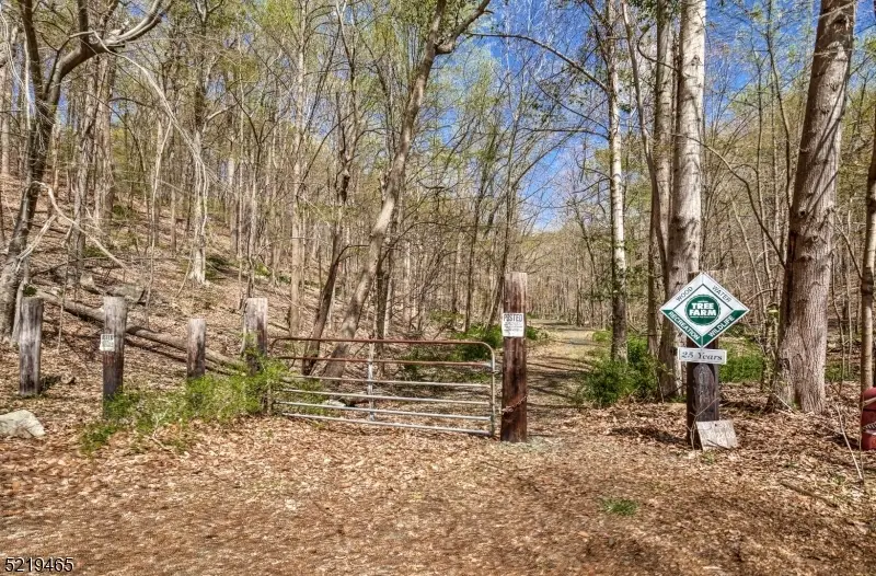 66 Rippling Brook Way, Bernardsville, NJ 07924 - #2