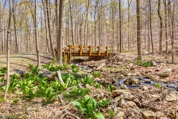 60 And 66 Rippling Brook Wa, Bernardsville Boro, NJ 07924