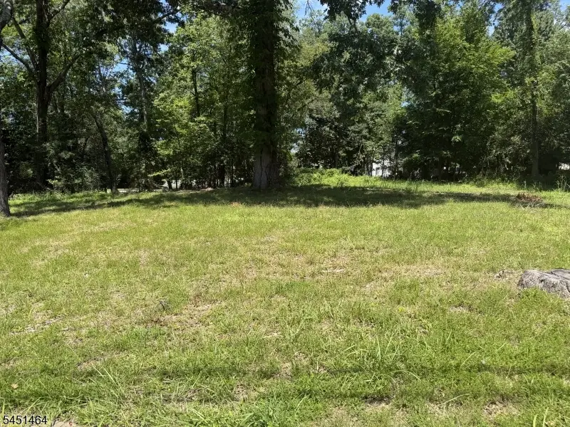19 Montgomery Ave, Montville, NJ 07045 - #2