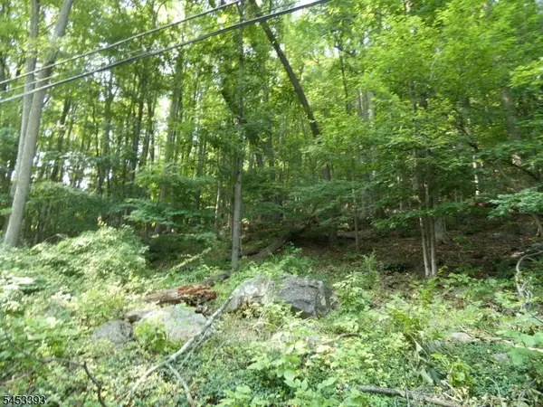 20 Sawmill Rd, Tewksbury Twp., NJ 08833