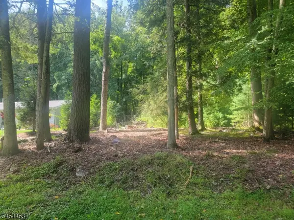 356 Rolling Ridge Rd, Montague Twp., NJ 07827