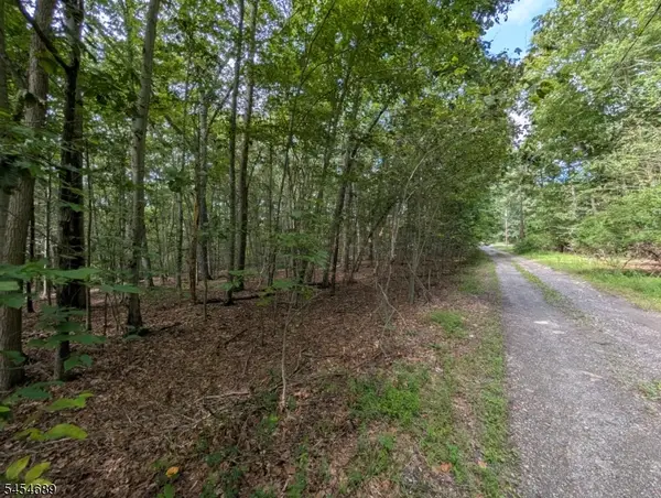 00 Anne Rd, Stillwater Twp., NJ 07860