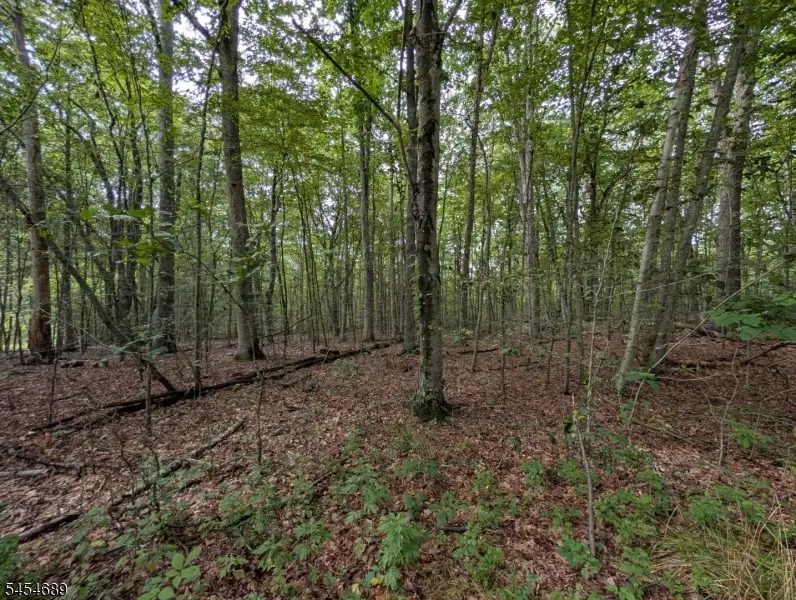 00 Anne Rd, Stillwater, NJ 07860 - #3