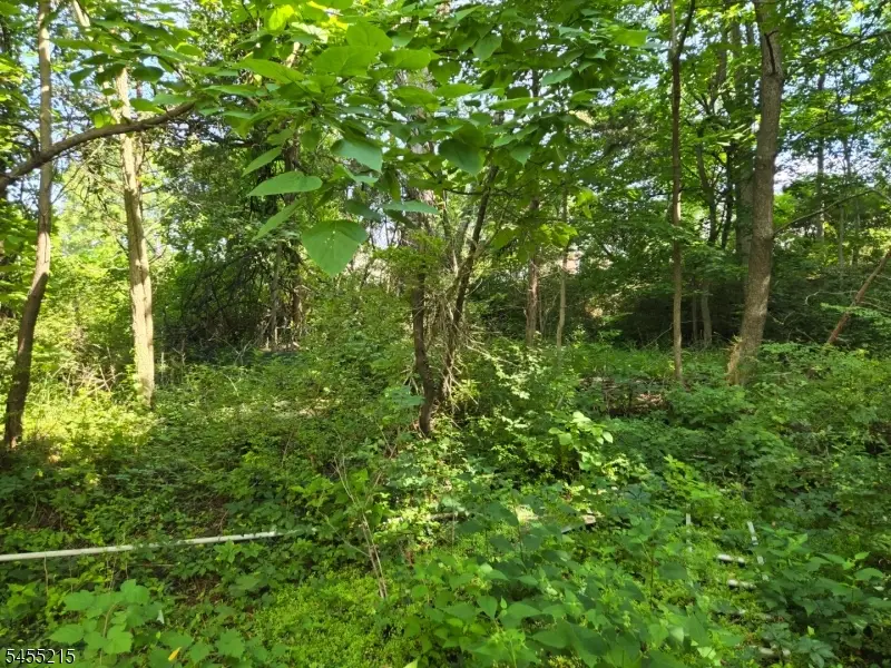 2 Hewlett Rd, Towaco, NJ 07082 - #1