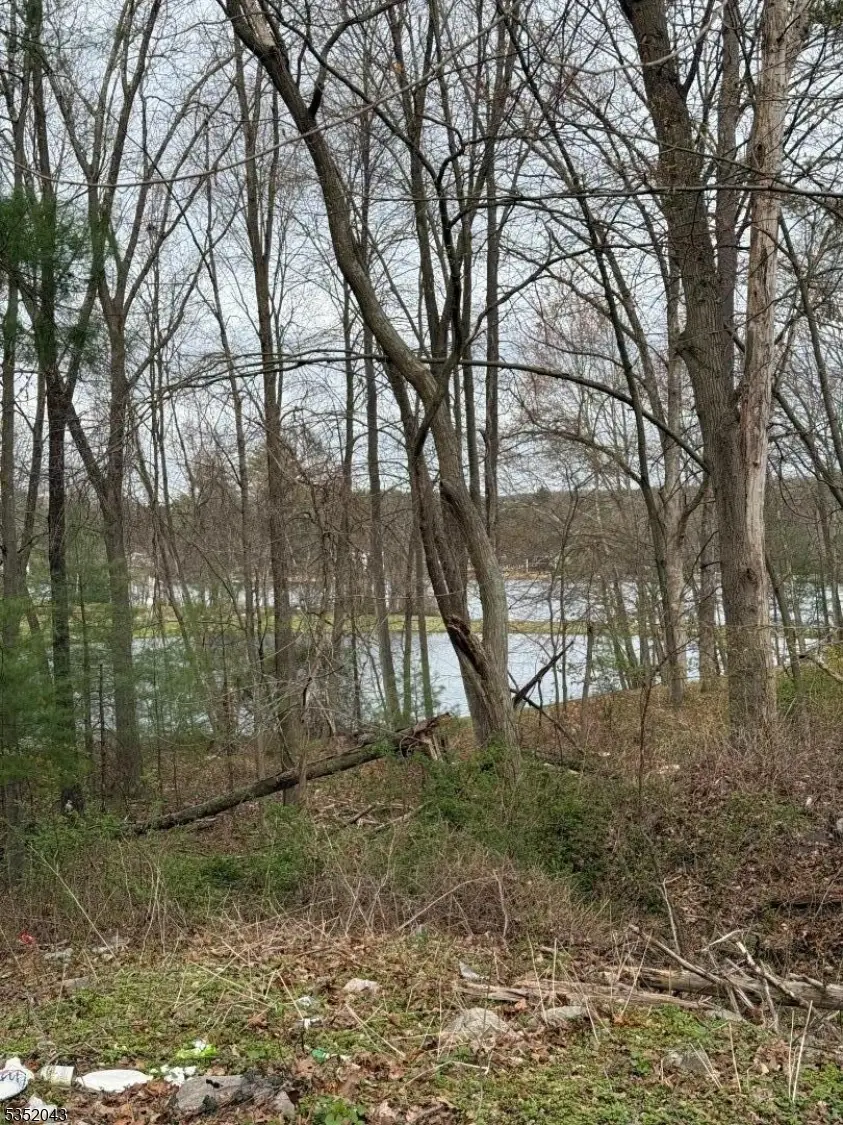 232 Lake Shore, Montague, NJ 07827 - #3