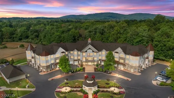 1325 Berry Farm Rd, Readington Twp., NJ 08889