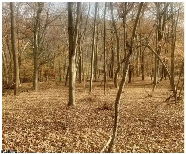 85 Cherryville Hollow Rd, Raritan Twp., NJ 08822