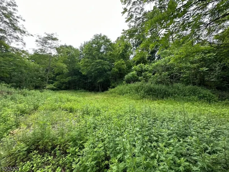 461 Us Highway 206, Frankford, NJ 07826 - #3