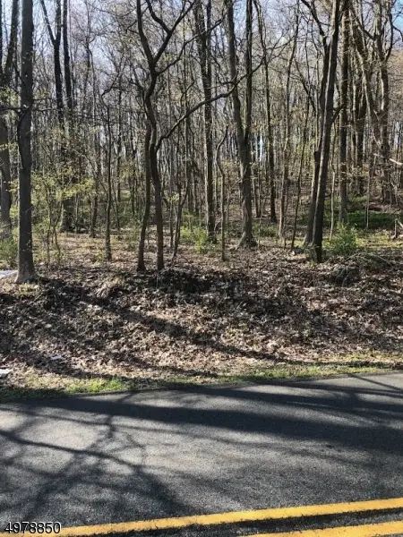 39 Russling Rd, Independence, NJ 07840 - #1