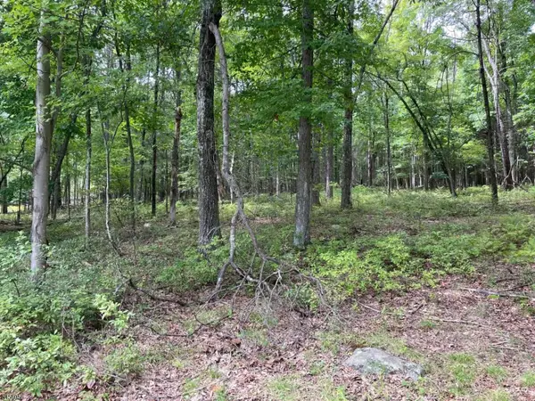 0 Owassa Rd, Stillwater Twp., NJ 07860