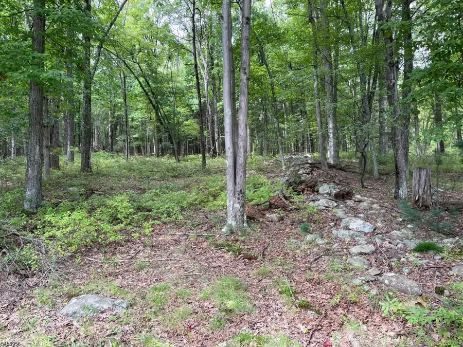 0 Owassa Rd, Stillwater, NJ 07860 - #2