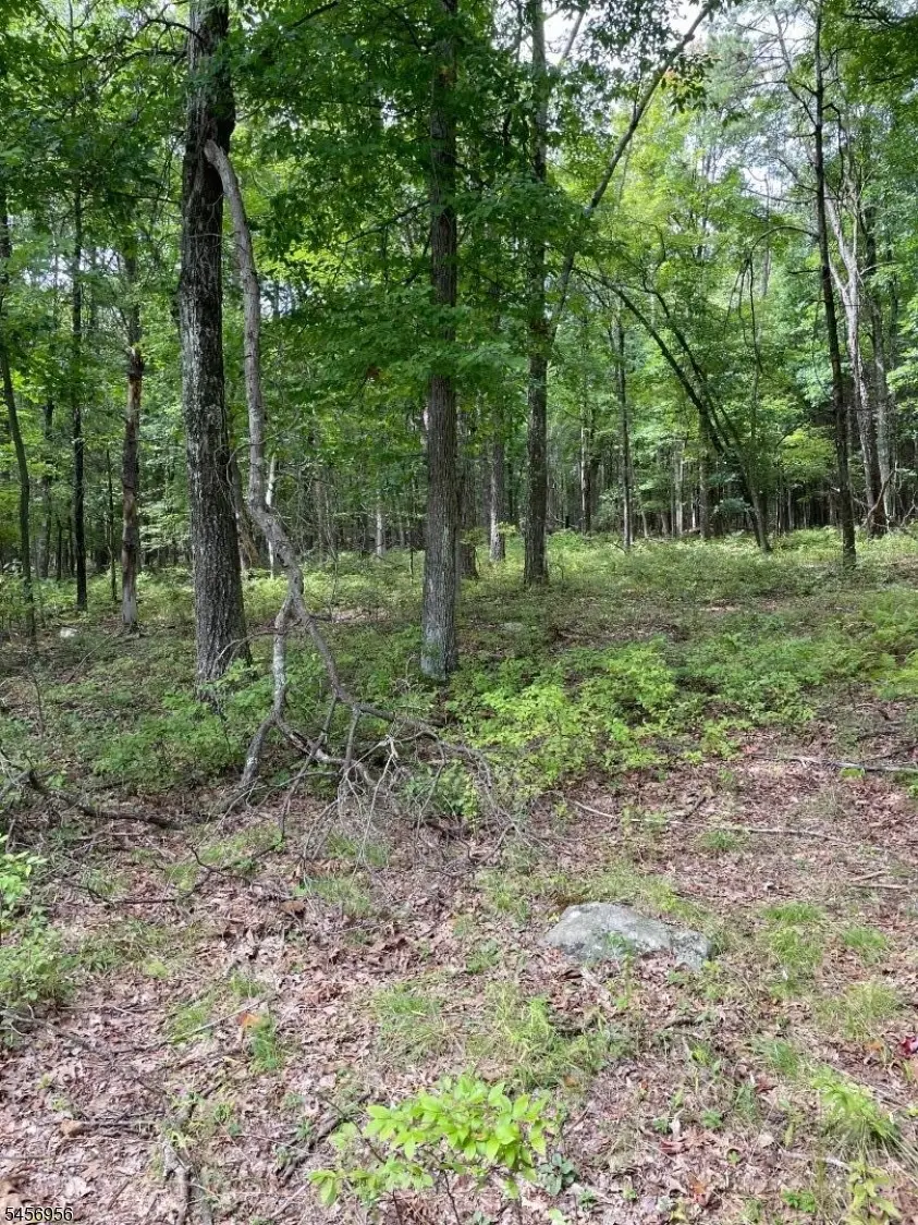 0 Owassa Rd, Stillwater, NJ 07860 - #3