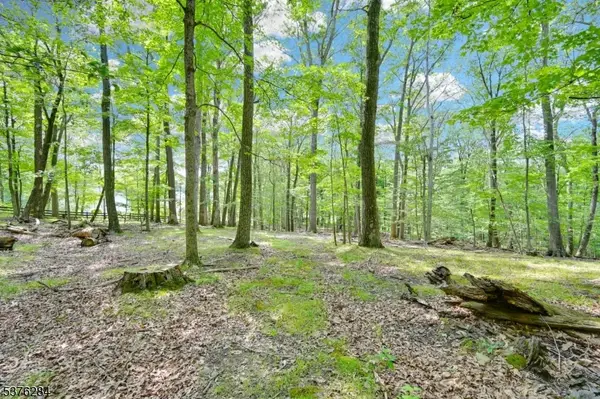 51 Paulinskill Lake Rd, Fredon Twp., NJ 07860