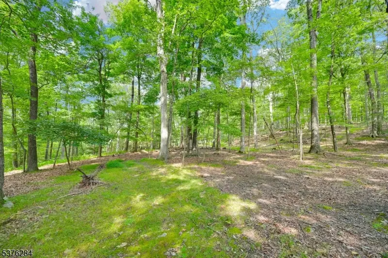 51 Paulinskill Lake Rd, Fredon, NJ 07860 - #2