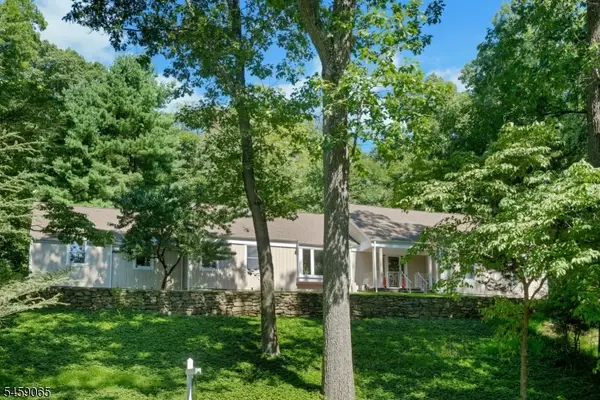 47 Long Ridge Rd, Parsippany-Troy Hills Twp., NJ 07869