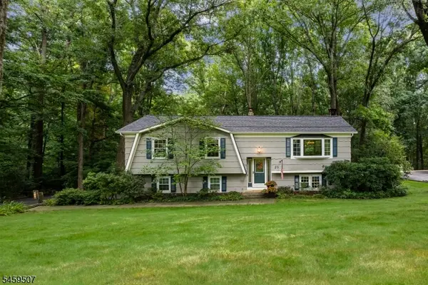 20 Edward Dr, Mount Olive Twp., NJ 07836