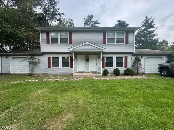 266 Old Chimney Ridge Rd, Montague Twp., NJ 07827