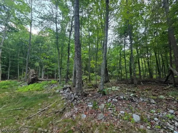 4 High Point Dr, Montague Twp., NJ 07827