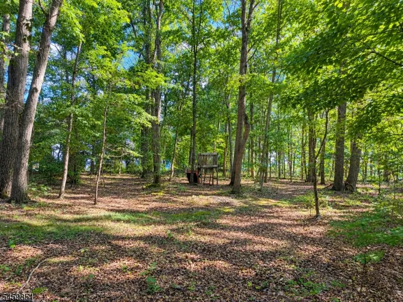 3138 Hwy 547, Manchester, NJ 08759 - #2