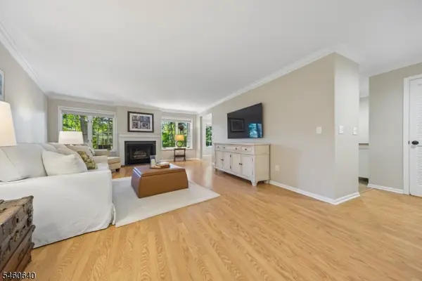 163 Terrace Dr, Chatham Twp., NJ 07928