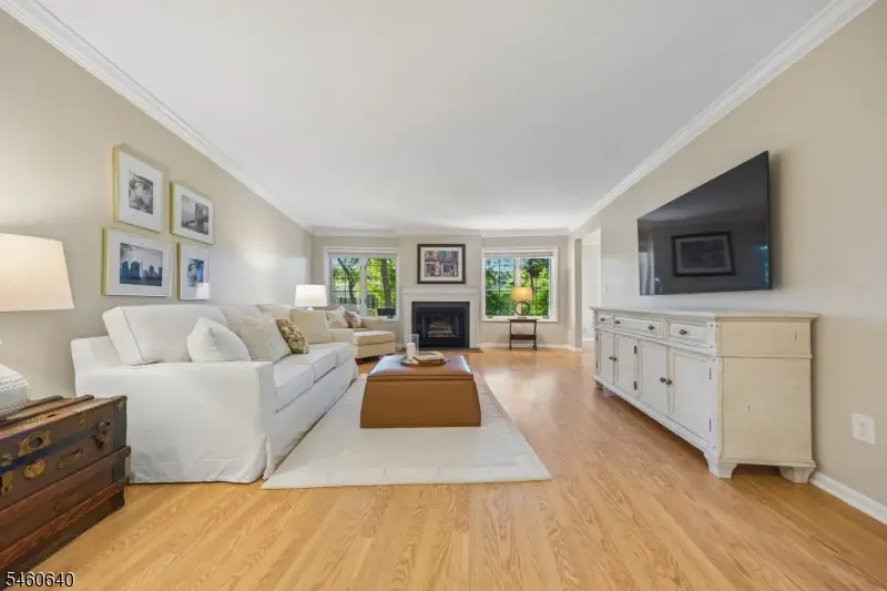 163 Terrace Dr, Chatham, NJ 07928 - #3