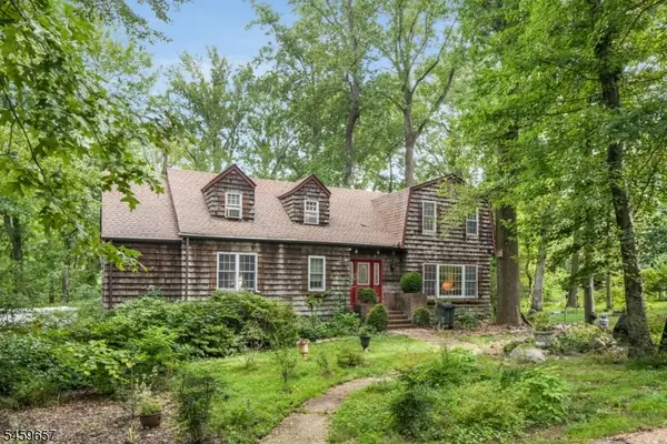 44 Chestnut Rd, Chatham Twp., NJ 07928