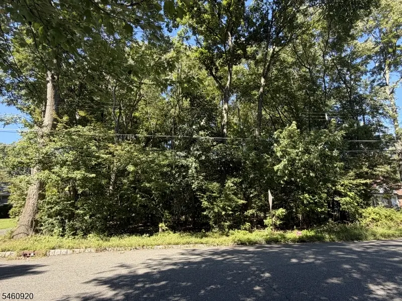 74 Preston Rd, Troy Hills, NJ 07054 - #1